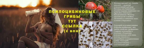 MDMA Нефтегорск