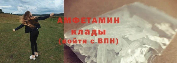 прущие грибы Нефтекумск