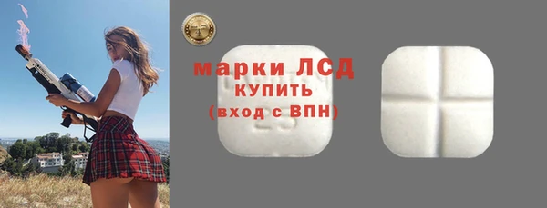 прущие грибы Нефтекумск