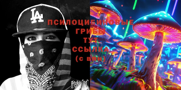 прущие грибы Нефтекумск