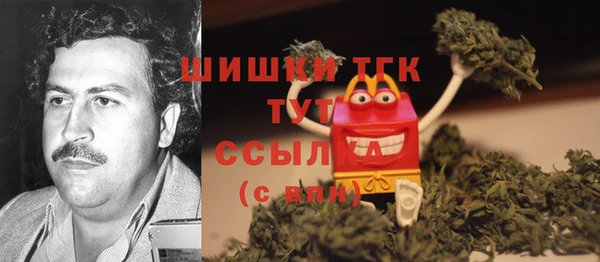 прущие грибы Надым